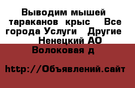 Выводим мышей ,тараканов, крыс. - Все города Услуги » Другие   . Ненецкий АО,Волоковая д.